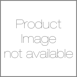 Bronze Sponsor